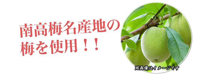 訳ありつぶれ梅】「塩分3%の完熟紀州南高梅」皮が薄く、果肉がやわらかな高級品 快適生活-快適生活 訳ありつぶれ梅】「塩分3%の完熟紀州南高梅」皮が薄く、果肉がやわらかな高級品 快適生活-快適生活