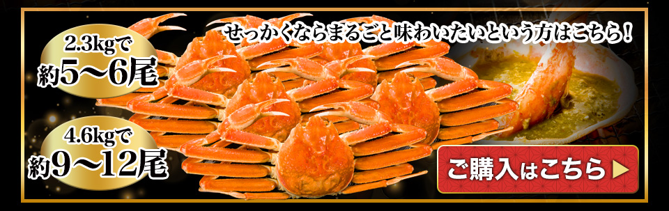 北海道産ボイルオオズワイガニ姿