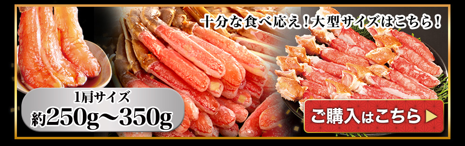 絶品！大型生ズワイガニ剥き身欲張りセット