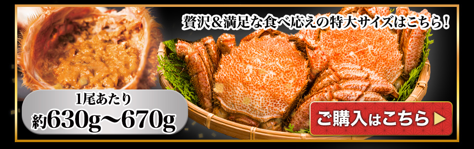 特大毛ガニ姿