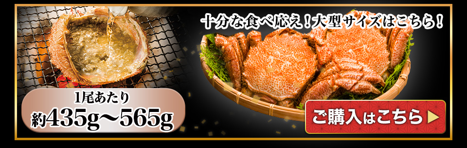 大型毛ガニ姿
