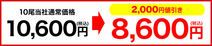 キャンペーンバナー