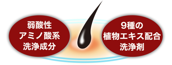 Ｗの洗浄成分でスッキリ洗浄！