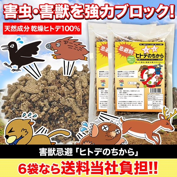 プレミア BE うまく アシストクリーム 業務用 1KG 痩身 ダイエット 