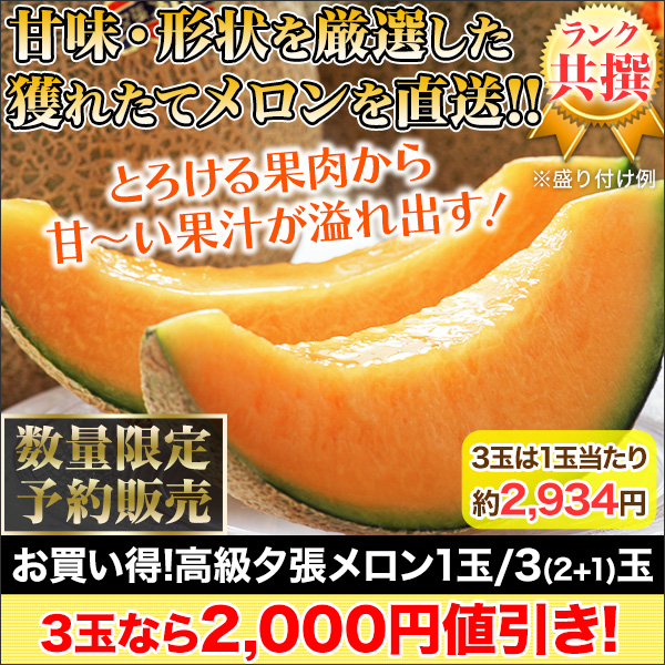 【値引き中】お買い得！高級夕張メロン 1玉/3(2+1)玉