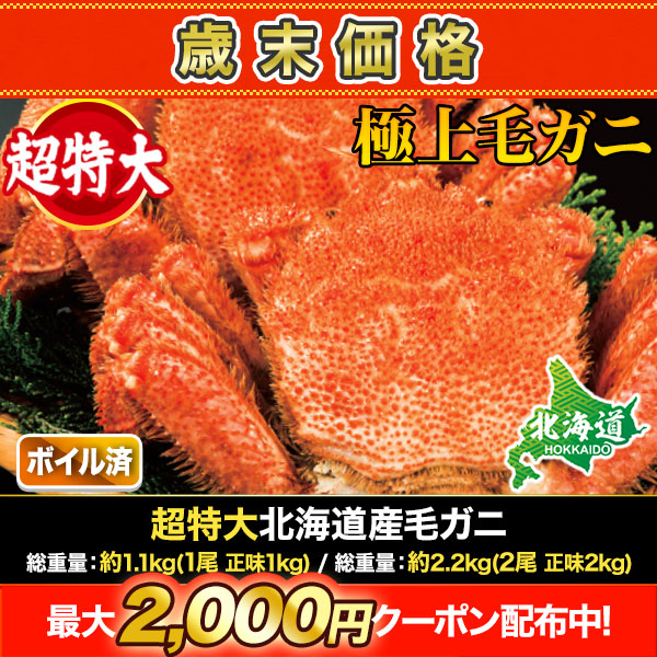 北海 北の味】特選!!限定品 北海道産極上商品【活堅毛蟹 北海 北の味】特選!!限定品 北海道産極上商品【活堅毛蟹