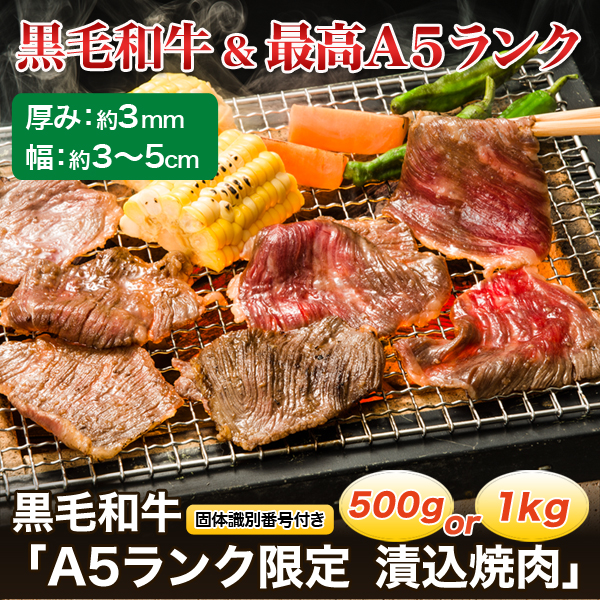 ڽꤪ۹µA5󥯸ꡡҹ500g/1kg