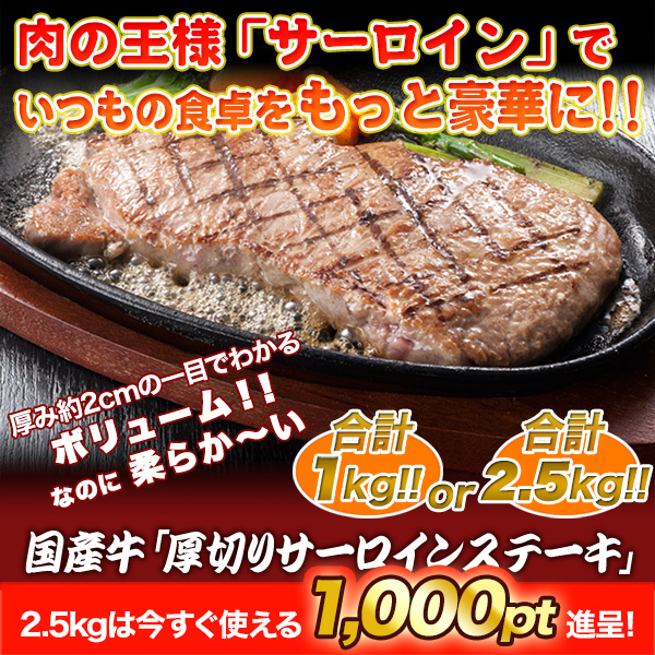 񻺵ָڤꥵ󥹥ơ1kg/2kg+500g