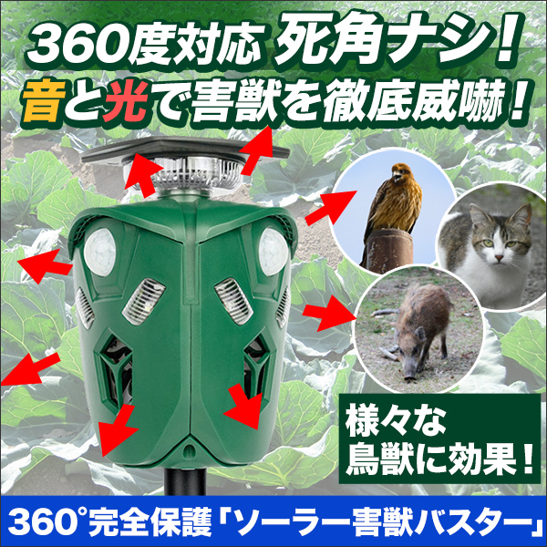 360봰ݸ֥顼åХ
