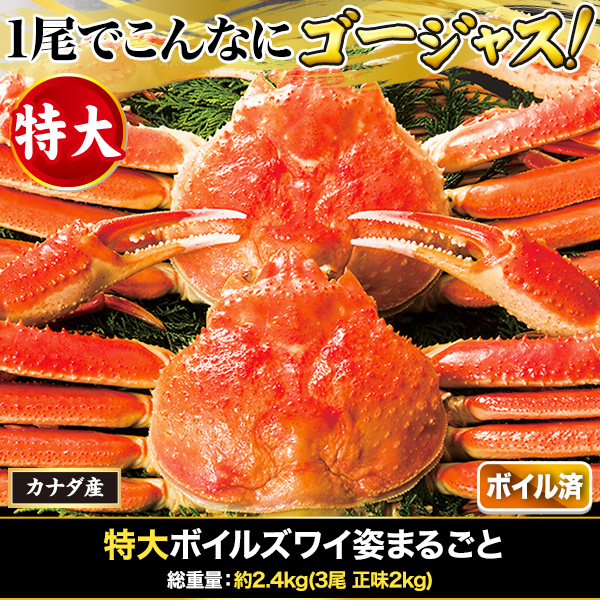 【北海道産】紅ズワイガニ　400-500g 5尾　冷凍　ボイル済み　ずわい　かに 北海道産】紅ズワイガニ 400-500g 7尾 冷凍 ボイル済み ずわい かに