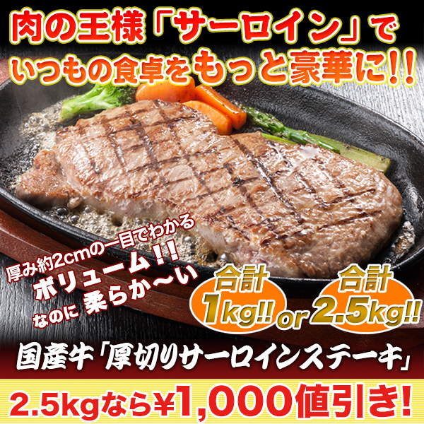 ڵΤڡ۹񻺵ָڤꥵ󥹥ơ1kg/2kg+500g