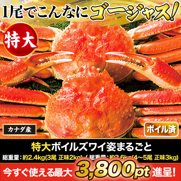 ܥ륺磻Ѥޤ뤴 :2.4kg(3 ̣2kg)/̡3.6Kg(45̣3Kg)