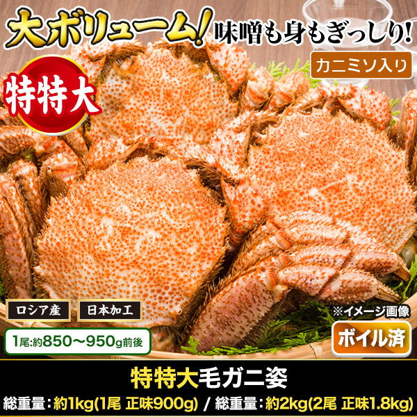 ӥ˻ :1kg(1 ̣900g)/:2kg(2 ̣1.8kg)