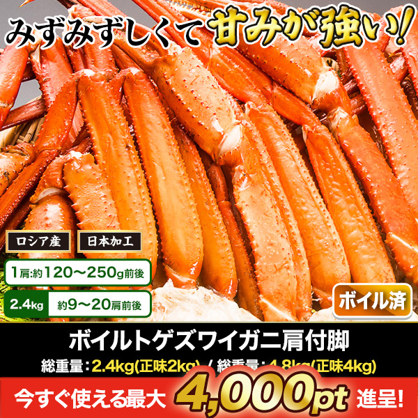 ܥȥ磻˸յ :2.4kg(̣2kg)/:4.8kg(̣4kg)
