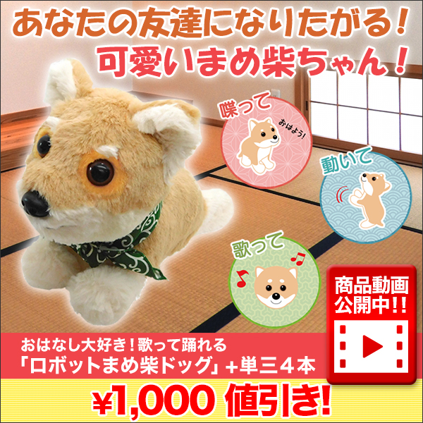 ڥ饸͵ʥԥååסۤϤʤ繥Τä٤֥ܥåȤޤƥɥå