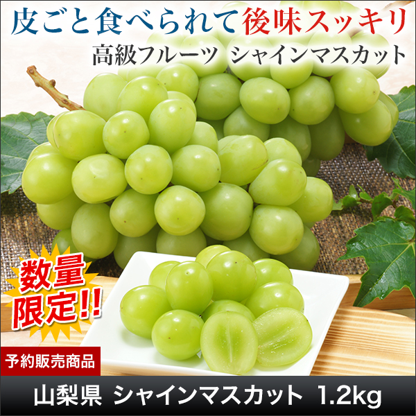  㥤ޥå 1.2kg