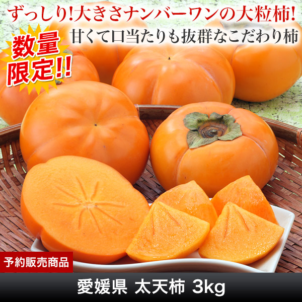 愛媛県 太天柿 3kg