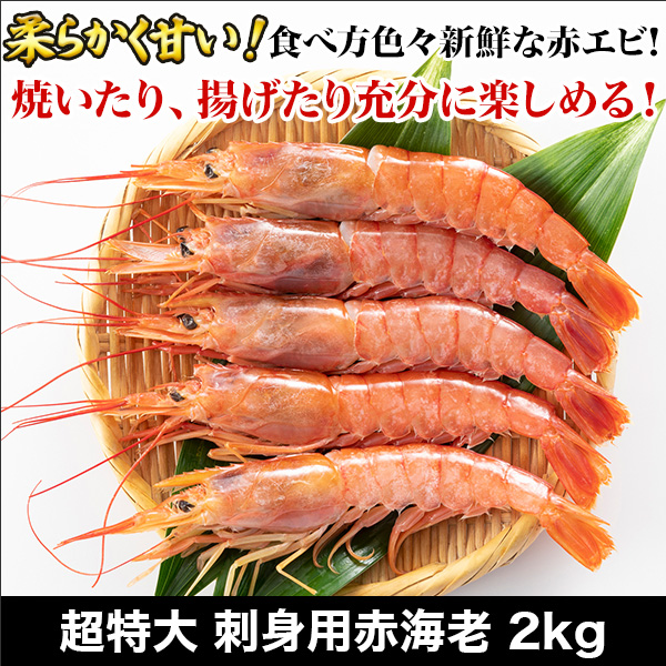 超特大 刺身用赤海老 2kg