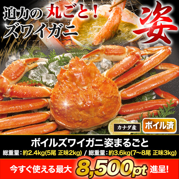 ܥ륺磻˻Ѥޤ뤴 :2.4kg(5 ̣2kg)/:3.6kg(78 ̣3kg)