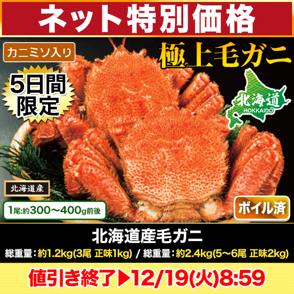 ڥͥå̲ʡ̳ƻӥ :1.2kg(3 ̣1kg)/:2.4kg(56 ̣2kg)