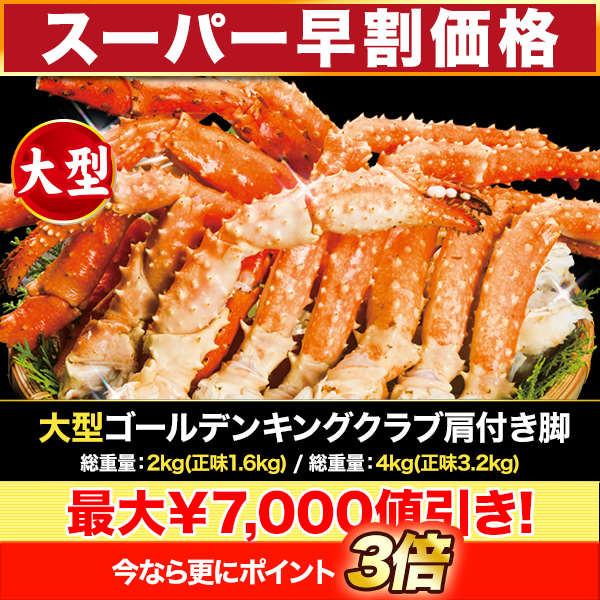 ڥѡʡ緿ǥ󥭥󥰥ָդ(ܥ륤Х饬˥ɥ)  :2kg(̣1.6kg)/:4kg(̣3.2kg)