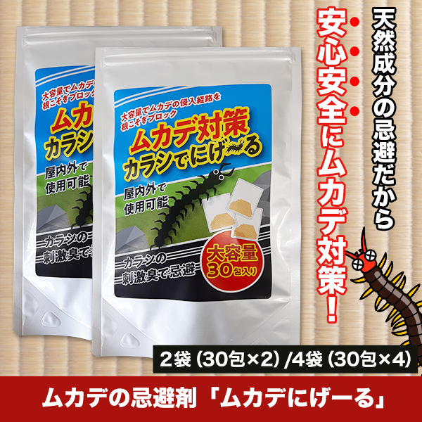 ५Ǥδގ५Ǥˤ뎣 2/4