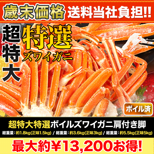ں+ôĶܥ륺磻˸դ