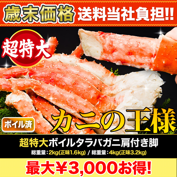 ں+ôĶܥ륿Х˸դ :2kg(̣1.6kg)/:4kg(̣3.2kg)