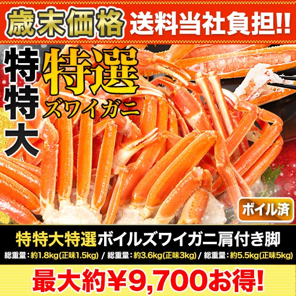 ں+ôܥ륺磻˸դ