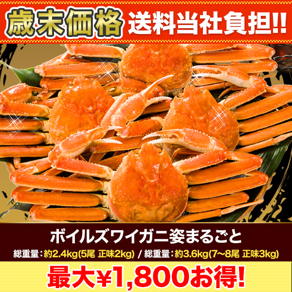 ں+ôۥܥ륺磻˻Ѥޤ뤴 :2.4kg(5 ̣2kg)/:3.6kg(78 ̣3kg)