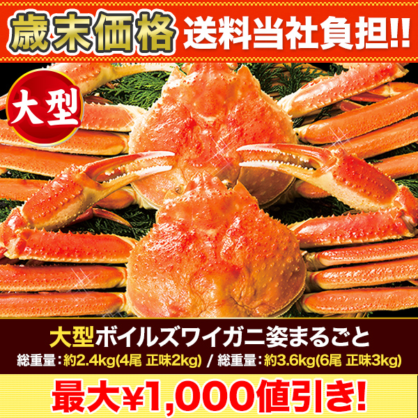 ں+ô緿ܥ륺磻˻Ѥޤ뤴 :2.4kg(4 ̣2kg)/:3.6kg(6 ̣3kg)
