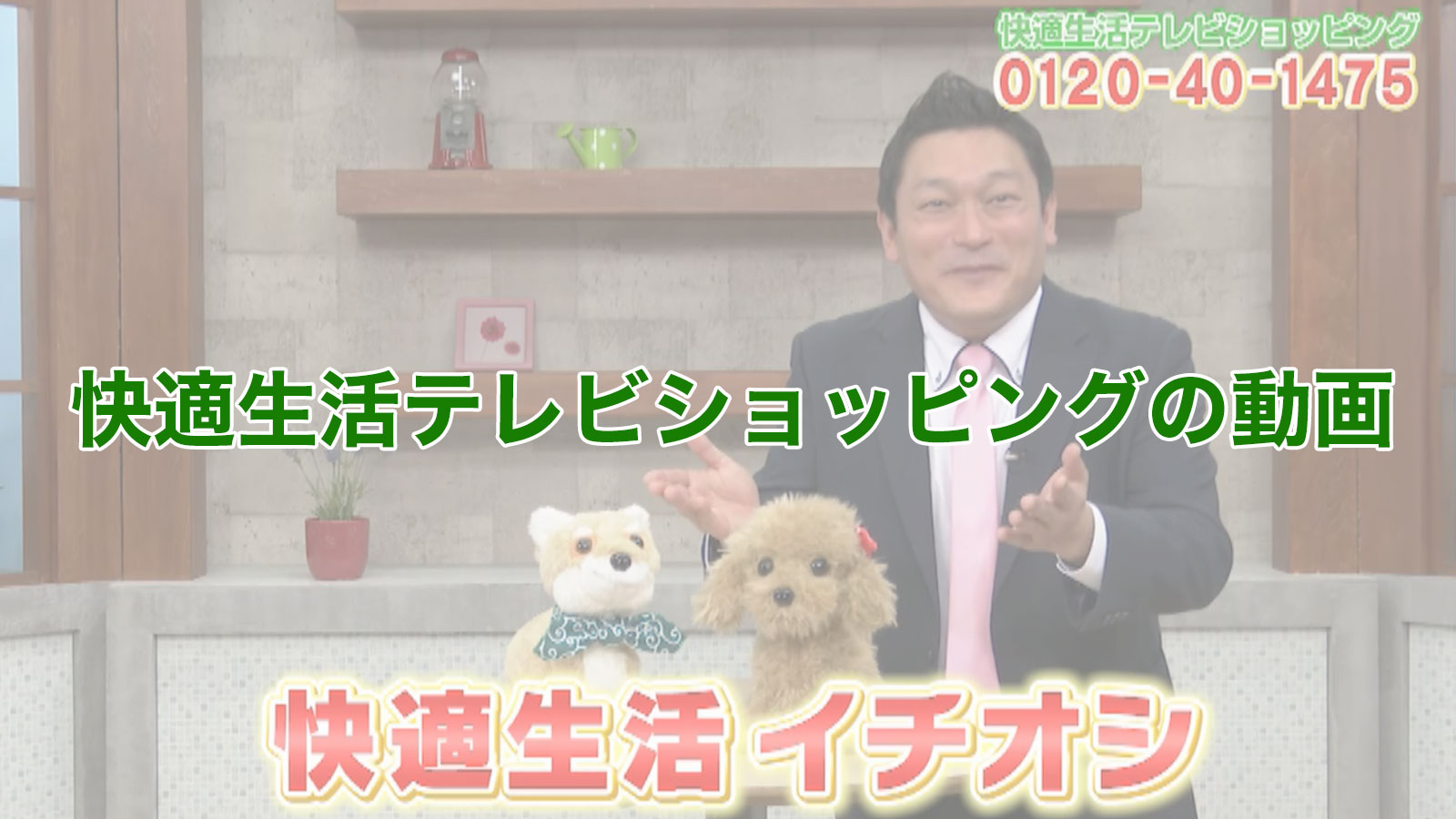 お子様のプレゼントに 歌って踊れる ロボットふわふわトイプードル おはなしが大好き 快適生活 快適生活