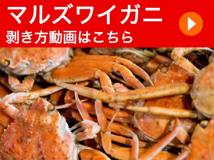 昨今の影響により外食業界の流通が止まり行き場をなくしたマルズワイガニを緊急確保 快適生活 ライフサポート