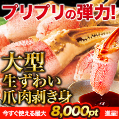 【ポイント使用でお得】大型生ずわい爪肉剥身 総重量:約1.5kg(正味1.2kg)/総重量:約3kg(正味2.4kg)