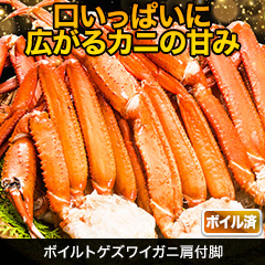 ボイルトゲズワイガニ肩付脚 総重量:約2.4kg/総重量:約4.8kg