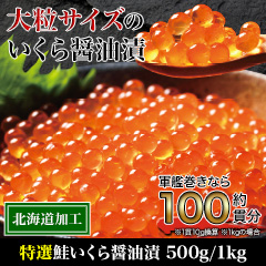 特選鮭いくら醤油漬 500g/1kg