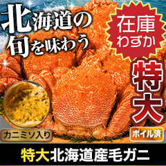 【在庫残りわずか！】特大北海道産毛ガニ 総重量：約820g(1尾 正味750g) / 総重量：約2.2kg(3尾 正味2kg)