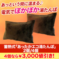 【ﾗｼﾞｵ売れ筋】蓄熱式「あったかエコ湯たんぽ」2個/4個