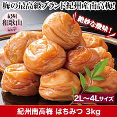紀州南高梅はちみつ 3kg