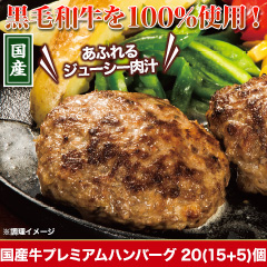 国産牛プレミアムハンバーグ20(15+5)個