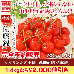 【お値引き中】サクランボの王様「産地直送 佐藤錦」 700g/1.4kg