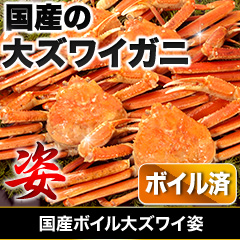 国産ボイル大ズワイ姿 総重量:約4.5kg(正味4kg)