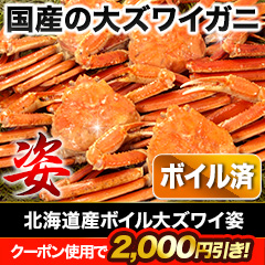 北海道産ボイル大ズワイ姿 総重量:約4.5kg(正味4kg)