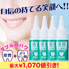 【決算特別価格】薬用ポリブラッシュ1本/4(2+2)本