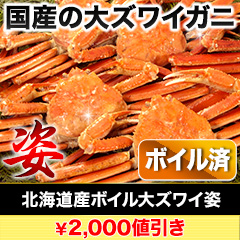 【新聞売れ筋値引き】北海道産ボイル大ズワイ姿 総重量:約4.5kg(正味4kg)