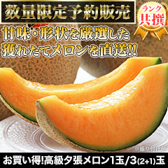 お買い得！高級夕張メロン 1玉/3(2+1)玉