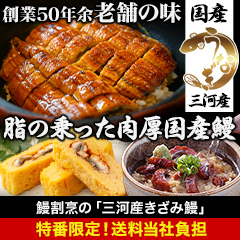 【CBC特番・送料当社負担】鰻割烹の「三河産きざみ鰻」5袋/15袋
