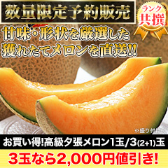 【値引き中】お買い得！高級夕張メロン 1玉/3(2+1)玉