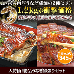 大特価！絶品うなぎ欲張りセット