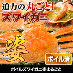 ボイルズワイガニ姿まるごと 総重量:約2.4kg(5尾 正味2kg)